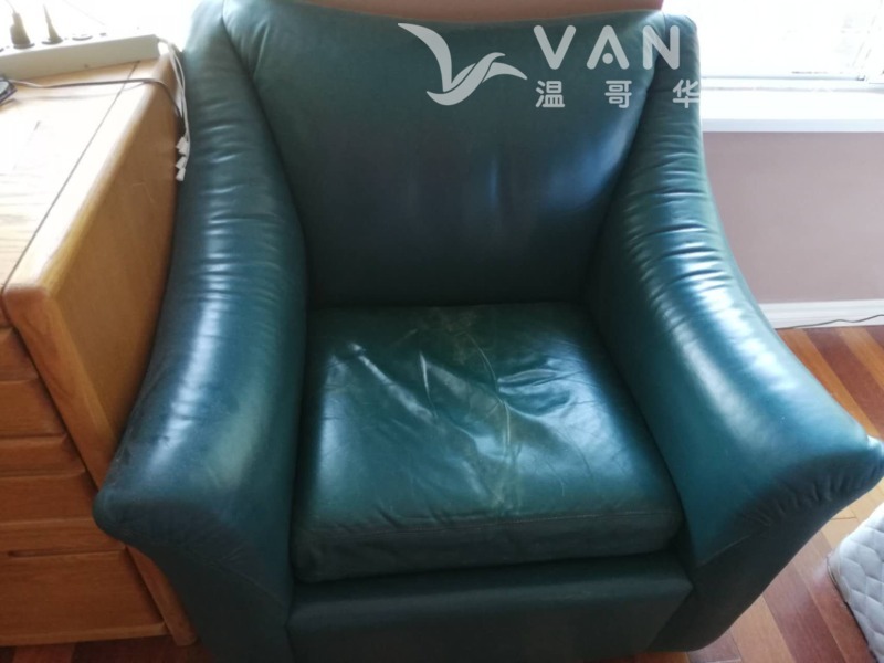 230529130329_Green sofa.jpg